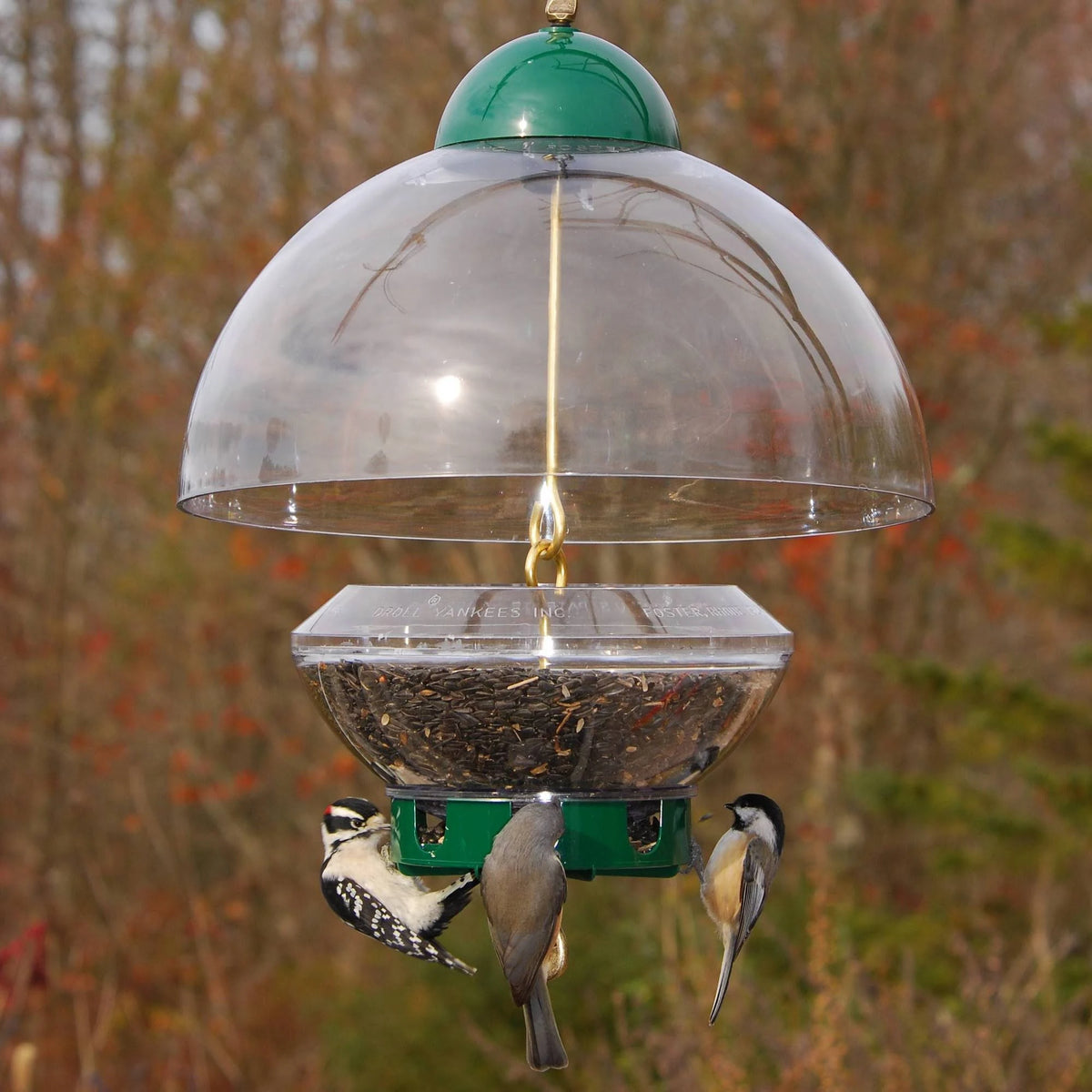 Droll Yankees Big Top Bird Feeder