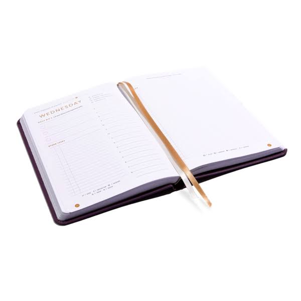Full Focus Planner - Eggplant