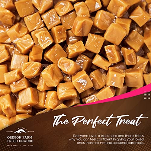 Oregon Farm Fresh Snacks Salted Caramel Gourmet Candy - Oregon Made Caramel Candy with Sea Salt and Vanilla - Gluten Free Delicious Chewy Sea Salt Caramels - Soft Caramels Individually Wrapped (16 oz)