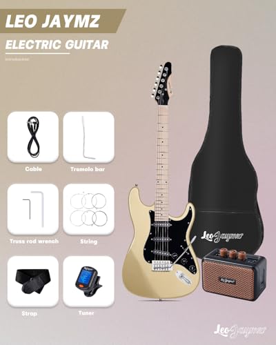 Leo Jaymz 39 Full Size ST Style Electric Guitar Starter Kit with SSH Pickup, 5W Portable Amp, Tuner, Gig Bag, Strap & Accessories (Violet Ocean)
