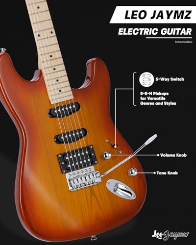 Leo Jaymz 39 Full Size ST Style Electric Guitar Starter Kit with SSH Pickup, 5W Portable Amp, Tuner, Gig Bag, Strap & Accessories (Violet Ocean)