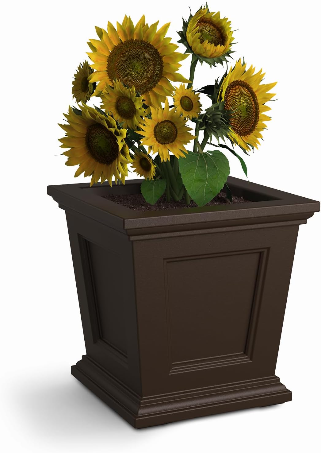 Mayne Fairfield 16in Square Planter - Espresso - Durable Self Watering Resnin Planter (5887-ES)