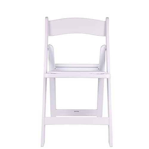 BTEXPERT Set of 4, Resin Folding Chair Vinyl Padded Seat Indoor Outdoor Lightweight Set for Home Event Party Picnic Kitchen Dining Church School Weddings
