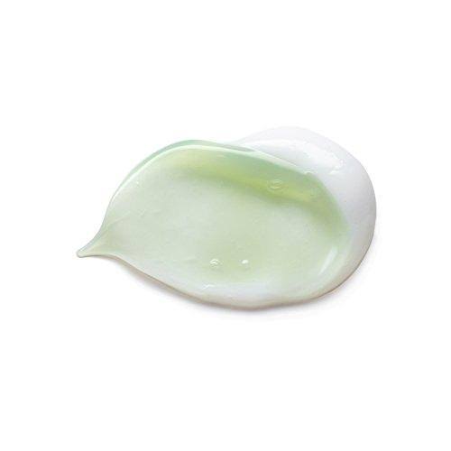 Elemis Biotec Skin Energising Combination Day Cream 30 ml