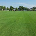 Outsidepride Arden 15 Bermuda Grass Seed - 25 lbs