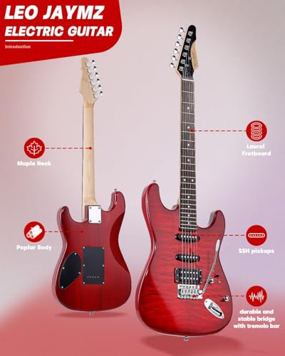 Leo Jaymz 39 Full Size ST Style Electric Guitar Starter Kit with SSH Pickup, 5W Portable Amp, Tuner, Gig Bag, Strap & Accessories (Violet Ocean)