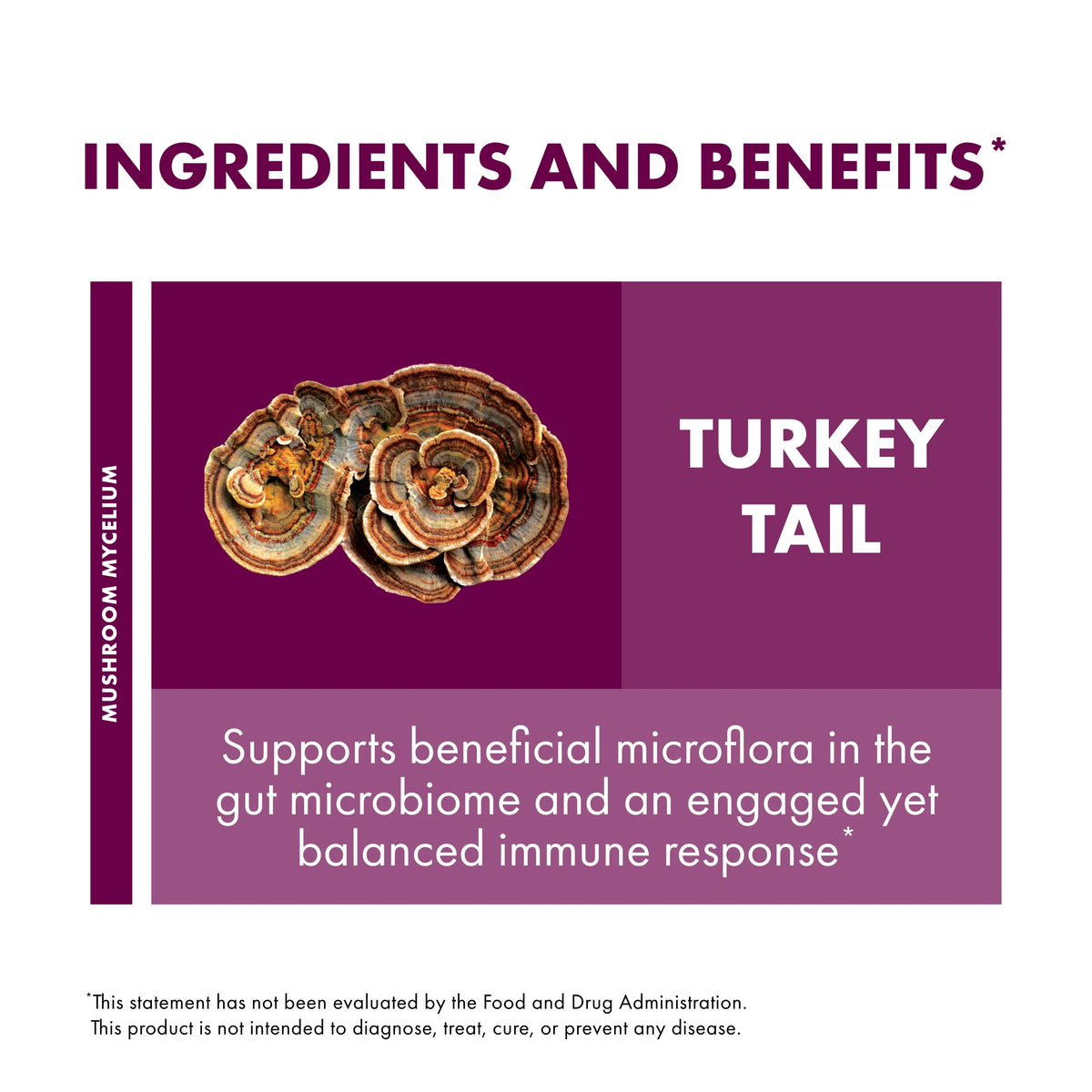 Host Defense, Turkey Tail Capsules, Natural Immune System and Digestive Support, Mushroom Supplement, Unflavored, 60