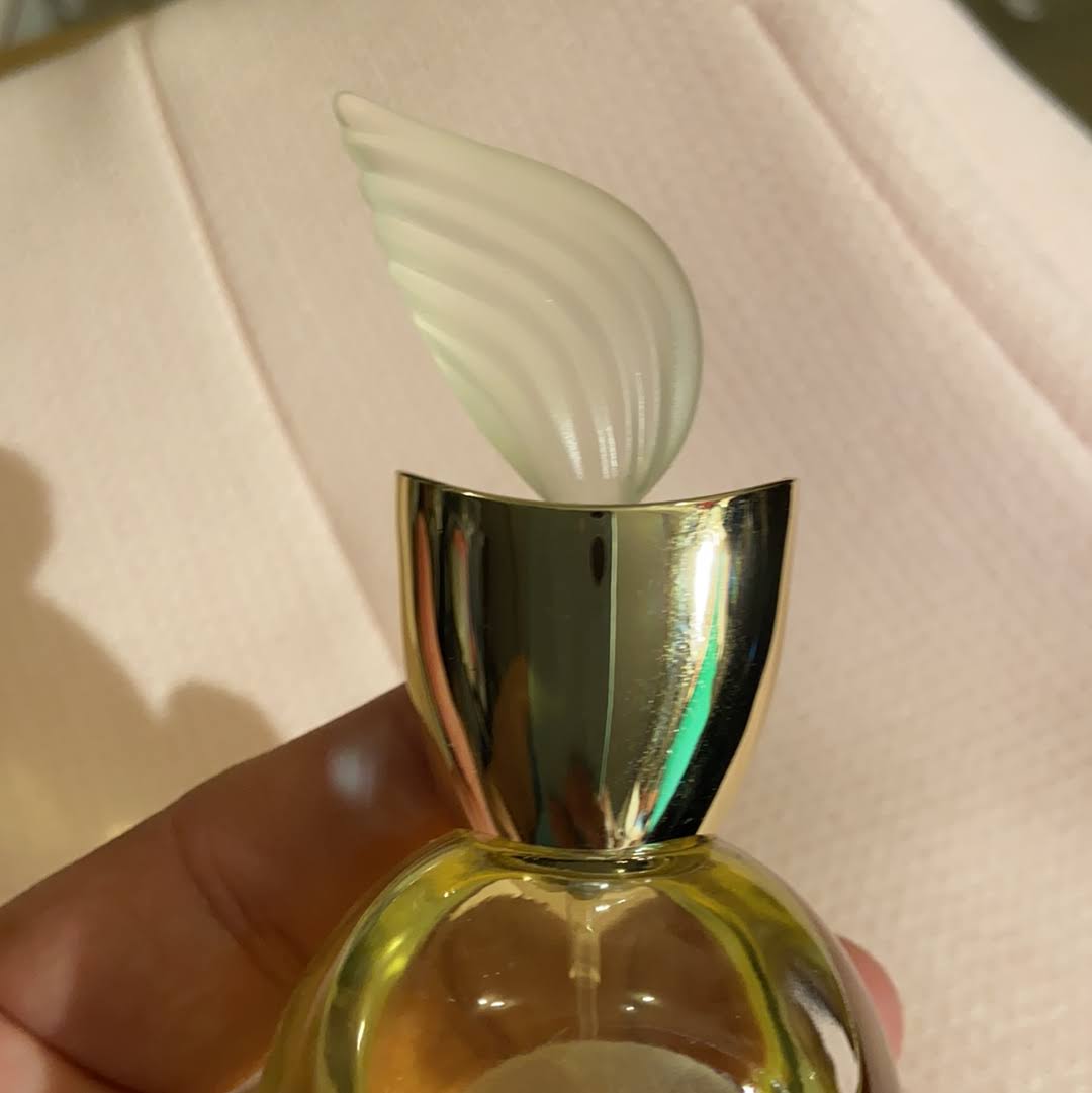 Givenchy Extravagance D Amarige Eau De Toilette Spray 33 fl oz bottle