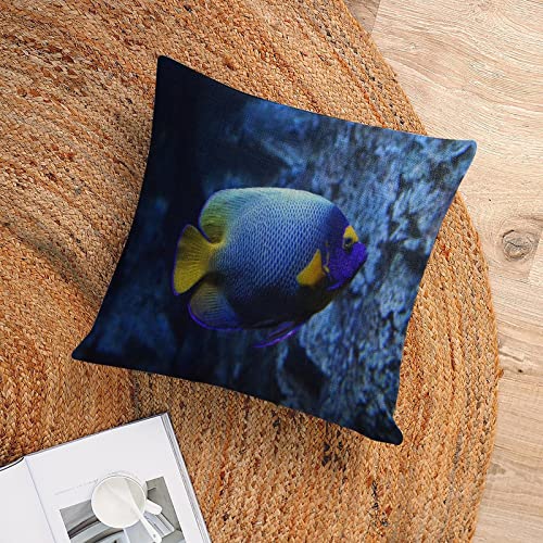 Cushion Pillow Cover Ocean Sea Starfish Zippered Pillow Cover Underwater Sea World Fish Nautical Ocean Throw Pillow Covers 18x18 Pillows for Couch Sofa Patio Furniture Home Decor