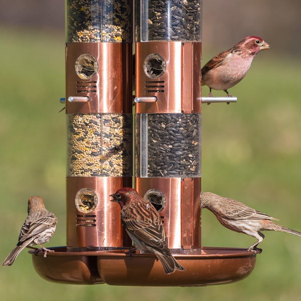 Perky-Pet 7103-2 Copper Finish Triple Tube Bird Feeder