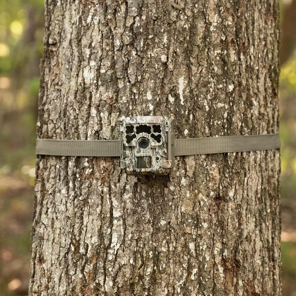 Moultrie Micro-42 Trail Camera Kit