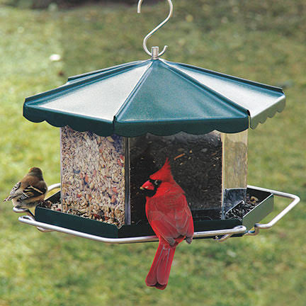 Homestead Triple Bin Party Bird Feeder