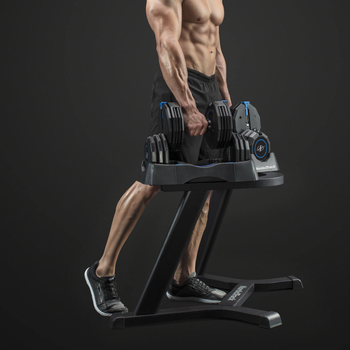Nordictrack Select-A-Weight Dumbbell Stand, Steel