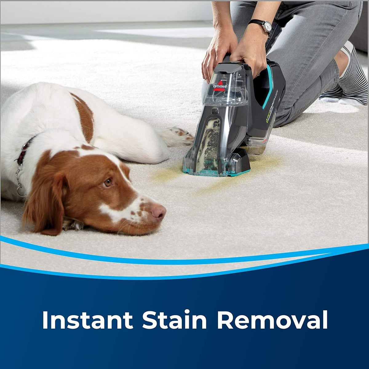 Bissell Pet Stain Eraser PowerBrush, 2837