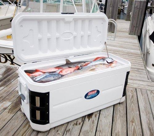 Coleman 200-Quart Optimaxx Cooler