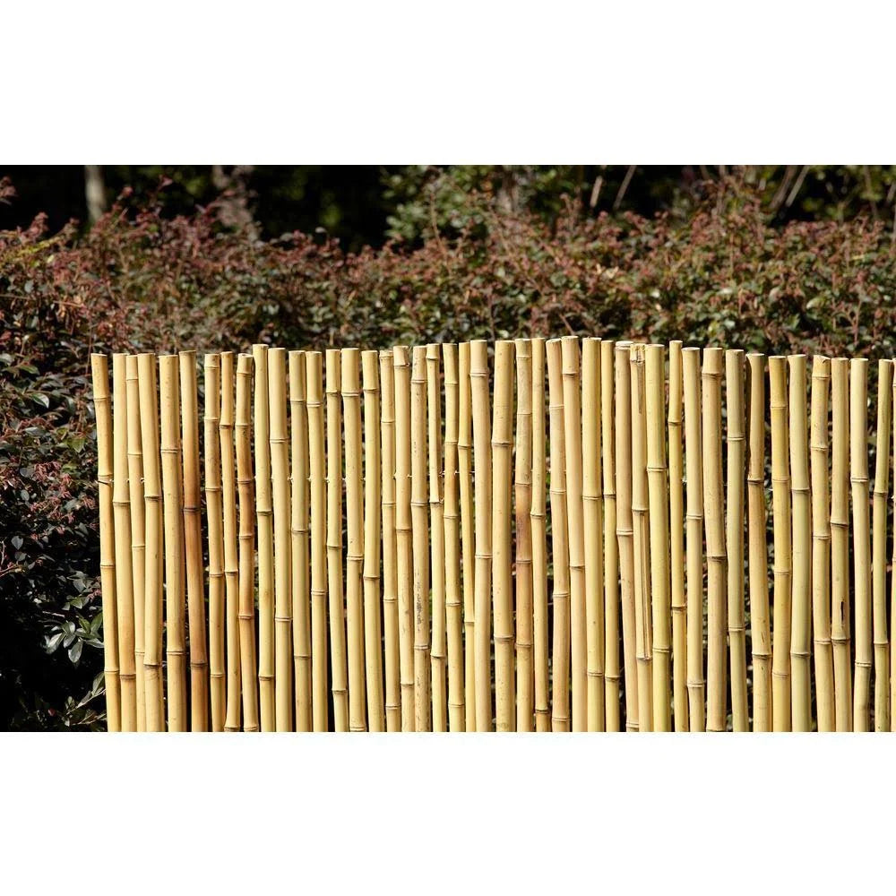 Vigoro 6 ft. x 8 ft. Natural Full Round Bamboo Fence