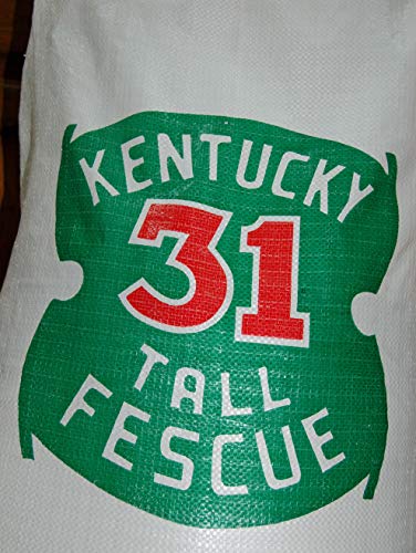 Kentucky 31 K31 Tall Fescue Grass Seed by Eretz - Choose Size! State Certified, No fillers, No Weed or Other Crop Seeds (3lbs)
