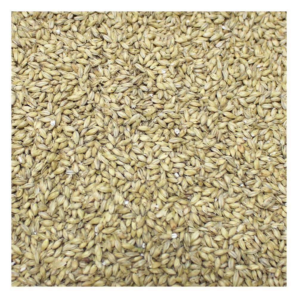 Briess 2-Row Brewers Malt for Home Brewing-50 lbs.