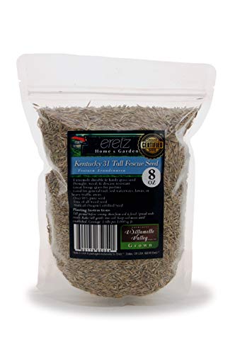 Kentucky 31 K31 Tall Fescue Grass Seed by Eretz - Choose Size! State Certified, No fillers, No Weed or Other Crop Seeds (3lbs)