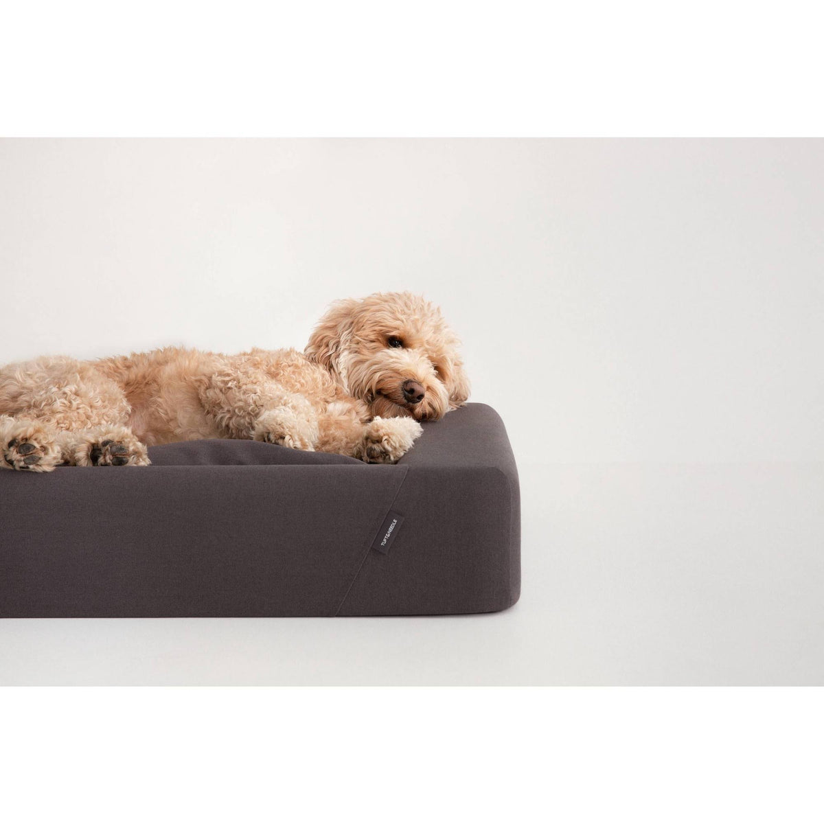 Tuft u0026 Needle Dog Bed - Large - Charcoal