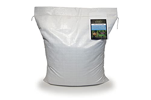 Kentucky 31 K31 Tall Fescue Grass Seed by Eretz - Choose Size! State Certified, No fillers, No Weed or Other Crop Seeds (3lbs)