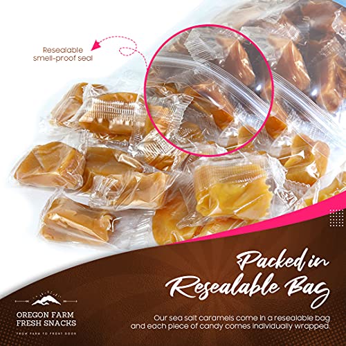 Oregon Farm Fresh Snacks Salted Caramel Gourmet Candy - Oregon Made Caramel Candy with Sea Salt and Vanilla - Gluten Free Delicious Chewy Sea Salt Caramels - Soft Caramels Individually Wrapped (16 oz)