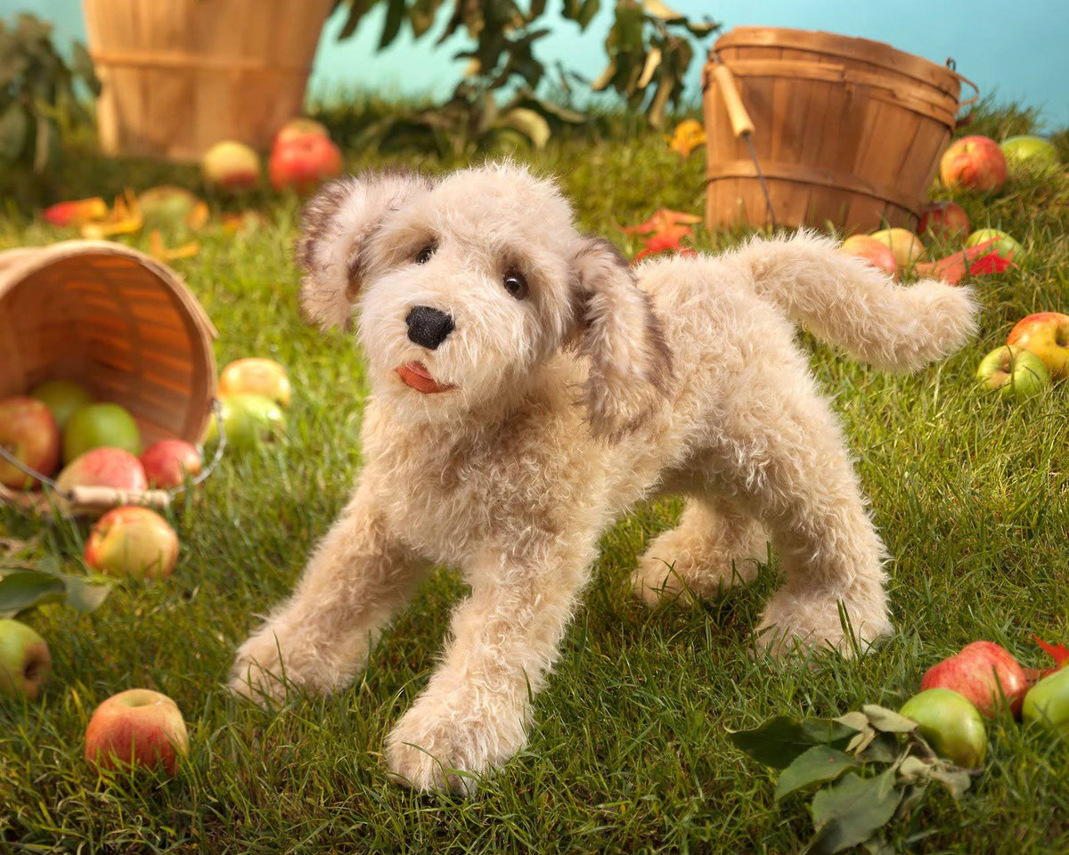 Folkmanis Puppet - Labradoodle