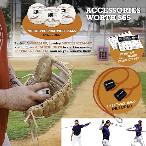 ALAGPRO? The Original 9 Hole Pitching Net with Strike Zone Pocket | Pitching Target for Baseball & Softball Pitchers