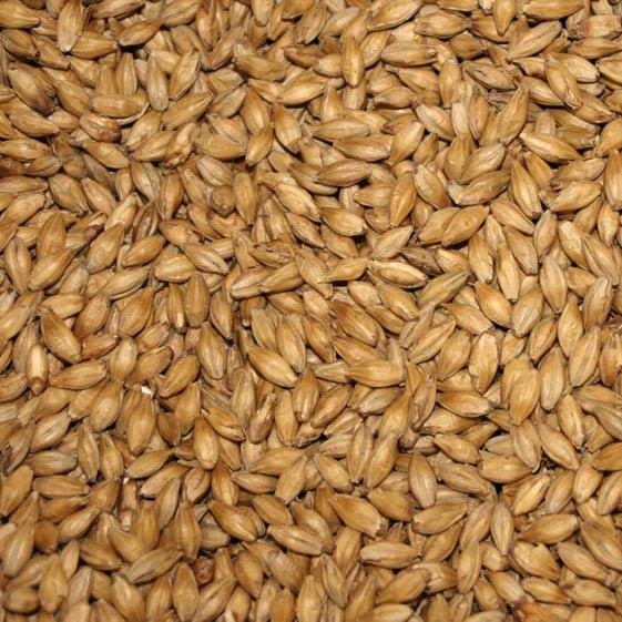 Briess 2-Row Brewers Malt for Home Brewing-50 lbs.