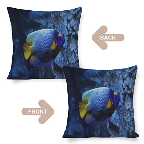 Cushion Pillow Cover Ocean Sea Starfish Zippered Pillow Cover Underwater Sea World Fish Nautical Ocean Throw Pillow Covers 18x18 Pillows for Couch Sofa Patio Furniture Home Decor