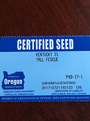 Kentucky 31 K31 Tall Fescue Grass Seed by Eretz - Choose Size! State Certified, No fillers, No Weed or Other Crop Seeds (3lbs)