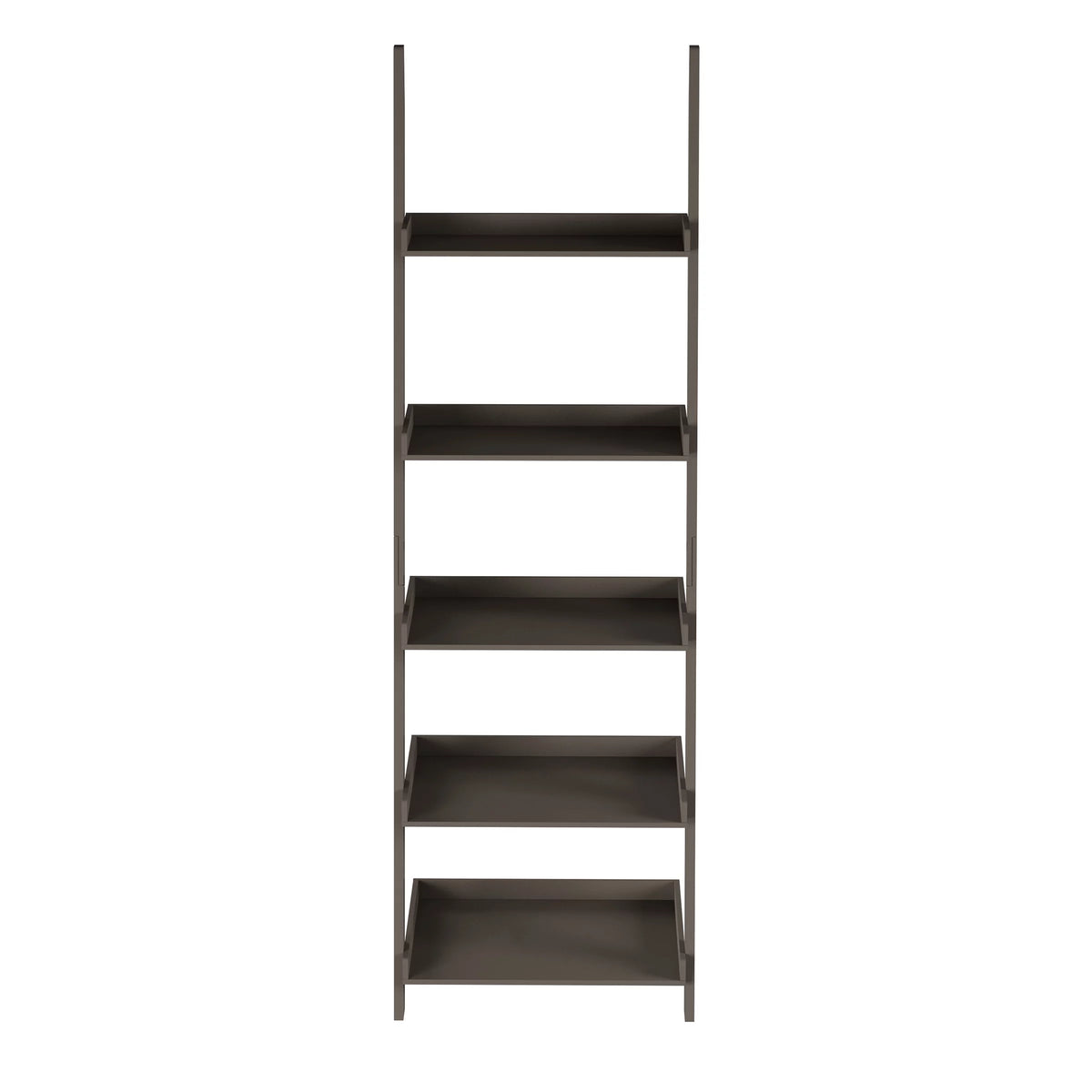 Ladder Bookshelf- 5 Tier Leaning Decorative Shelves for Display-Slate Gray Shelf Stand-Living Room Bathroom & Kitchen Shelving by Lavish Home