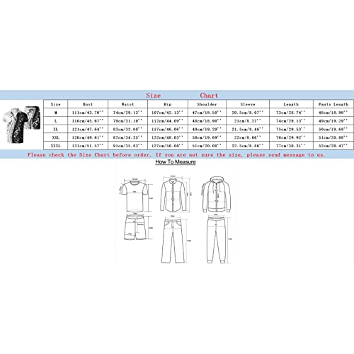 Mens Printed Outfits Zipper Short Sleeve Lapel Shirts Short 2 Piece Outfits Sets For Men Summer Beach Outfits Suits