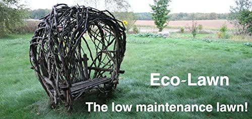 Eco-Lawn Grass Seed Blend Low Maintenance Lawn - 5lb Bag