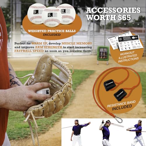ALAGPRO? The Original 9 Hole Pitching Net with Strike Zone Pocket | Pitching Target for Baseball & Softball Pitchers