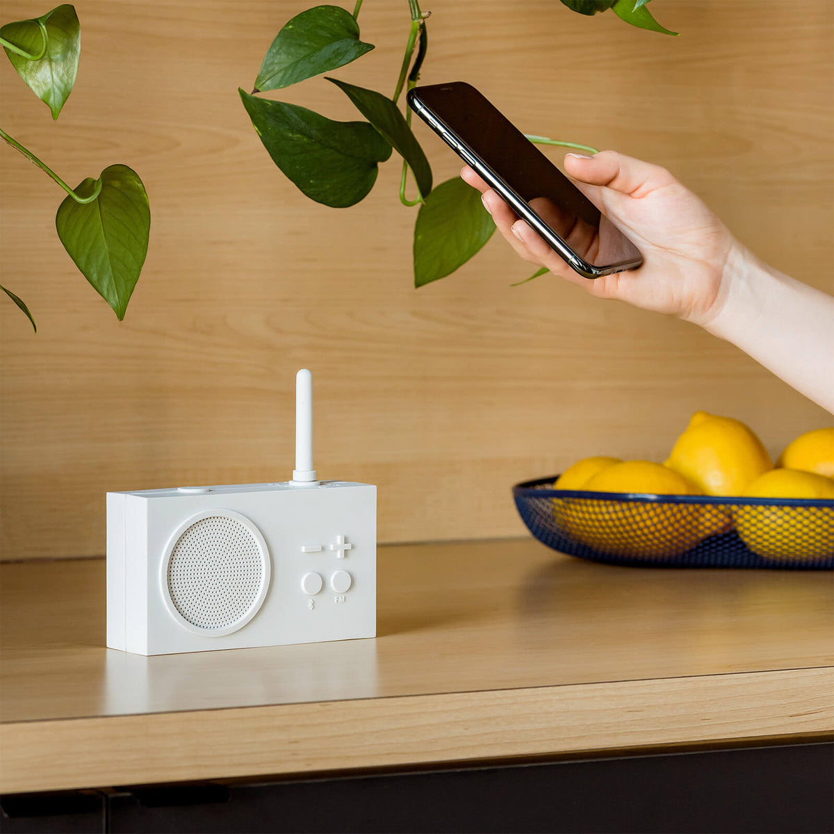 Lexon Tykho 3 FM Radio u0026 Bluetooth Speaker | Mastic