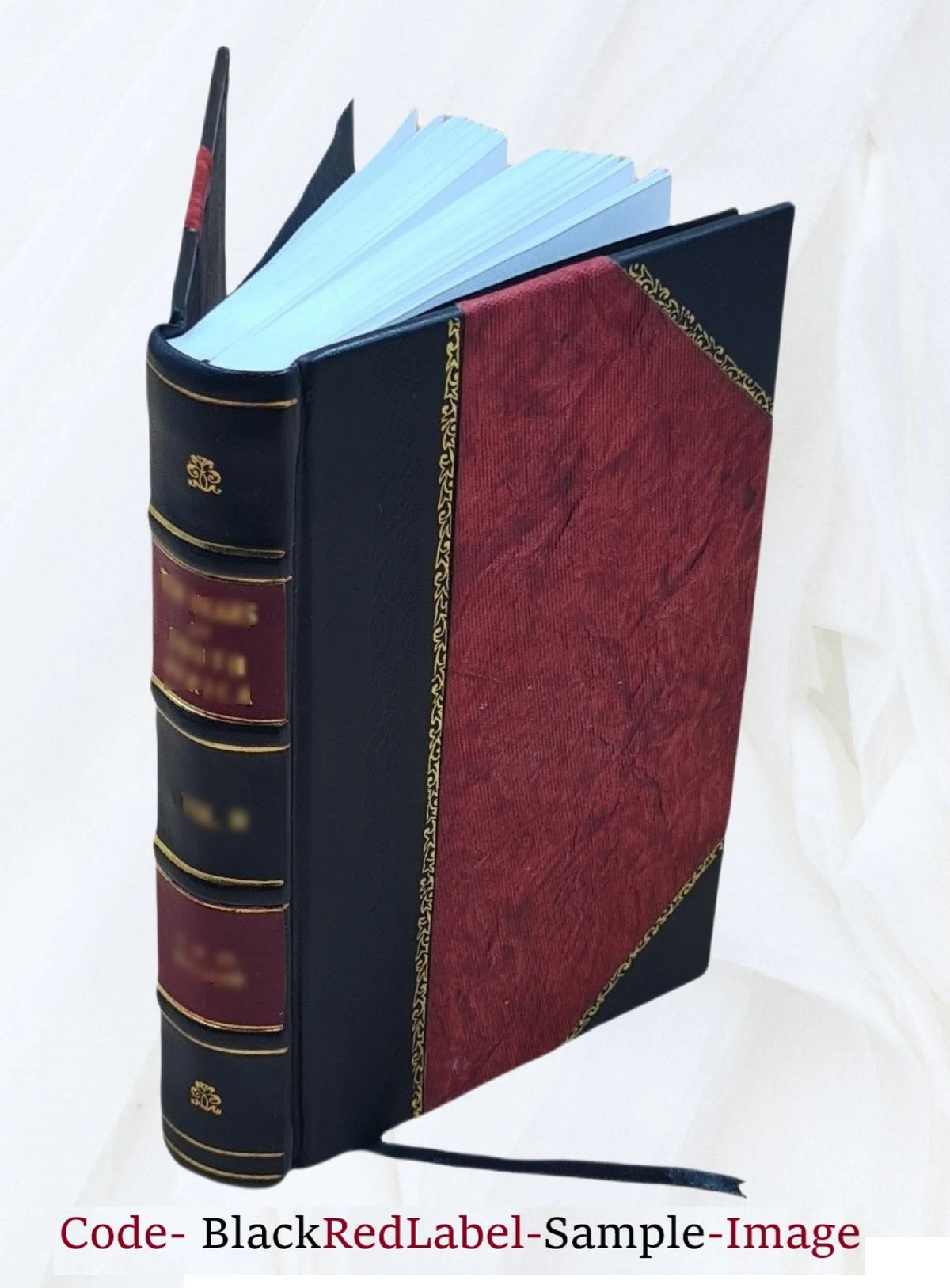 Good old times; or, Grandfather's struggles for a homestead. 1878 [Leather Bound]