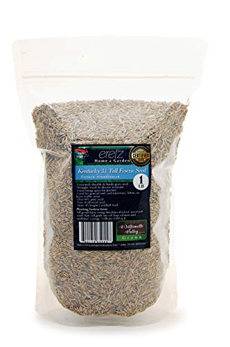 Kentucky 31 K31 Tall Fescue Grass Seed by Eretz - Choose Size! State Certified, No fillers, No Weed or Other Crop Seeds (3lbs)