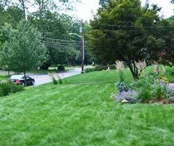 Eco-Lawn Grass Seed Blend Low Maintenance Lawn - 5lb Bag