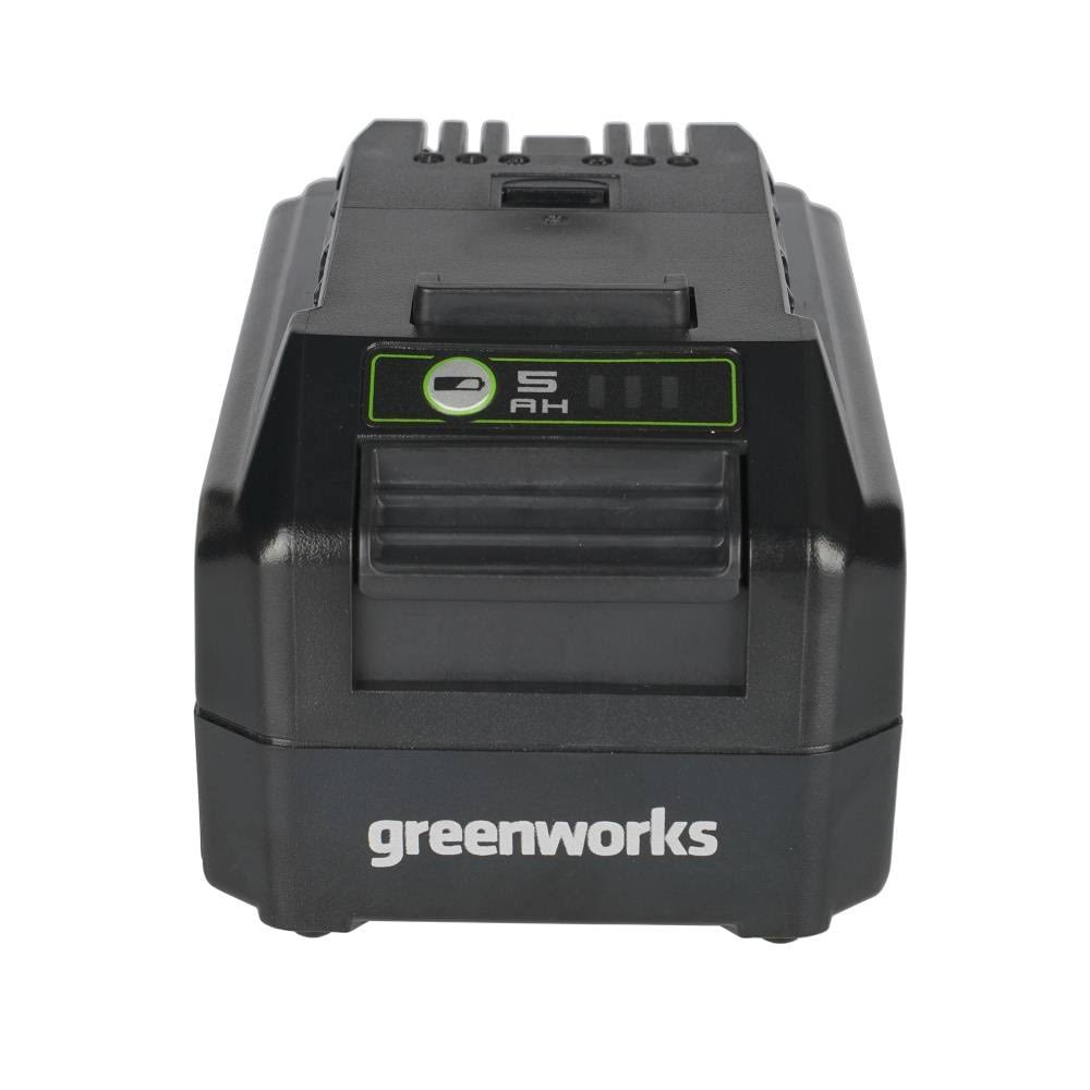 Greenworks 2949602AZ Lithium Ion Battery, 24 Volt
