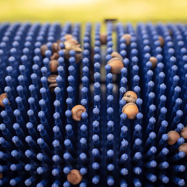 Bag-A-Nut Small Acorn Picker Upper - 36x22 Push Collector