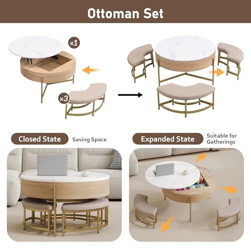 Linique Modern Round Lift-Top Coffee Table with Storage and 3 Ottoman, White + Black