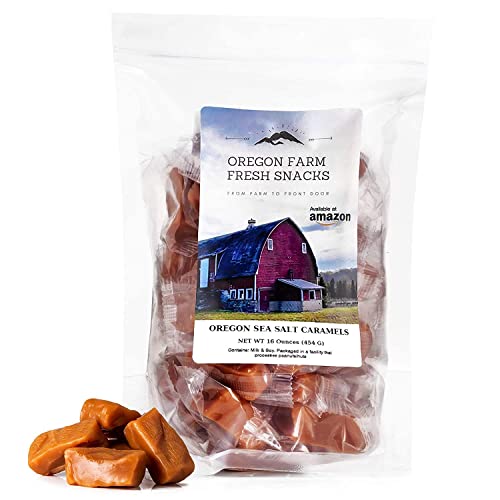 Oregon Farm Fresh Snacks Salted Caramel Gourmet Candy - Oregon Made Caramel Candy with Sea Salt and Vanilla - Gluten Free Delicious Chewy Sea Salt Caramels - Soft Caramels Individually Wrapped (16 oz)