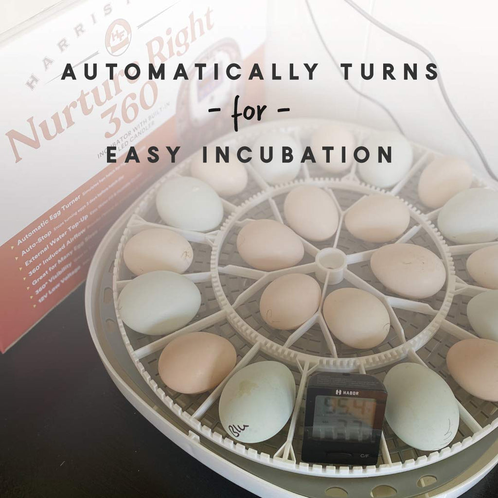 Manna Pro Harris Farms Nurture Right Incubator | Egg Incubator for Hatching Chicks | 360 Degree View